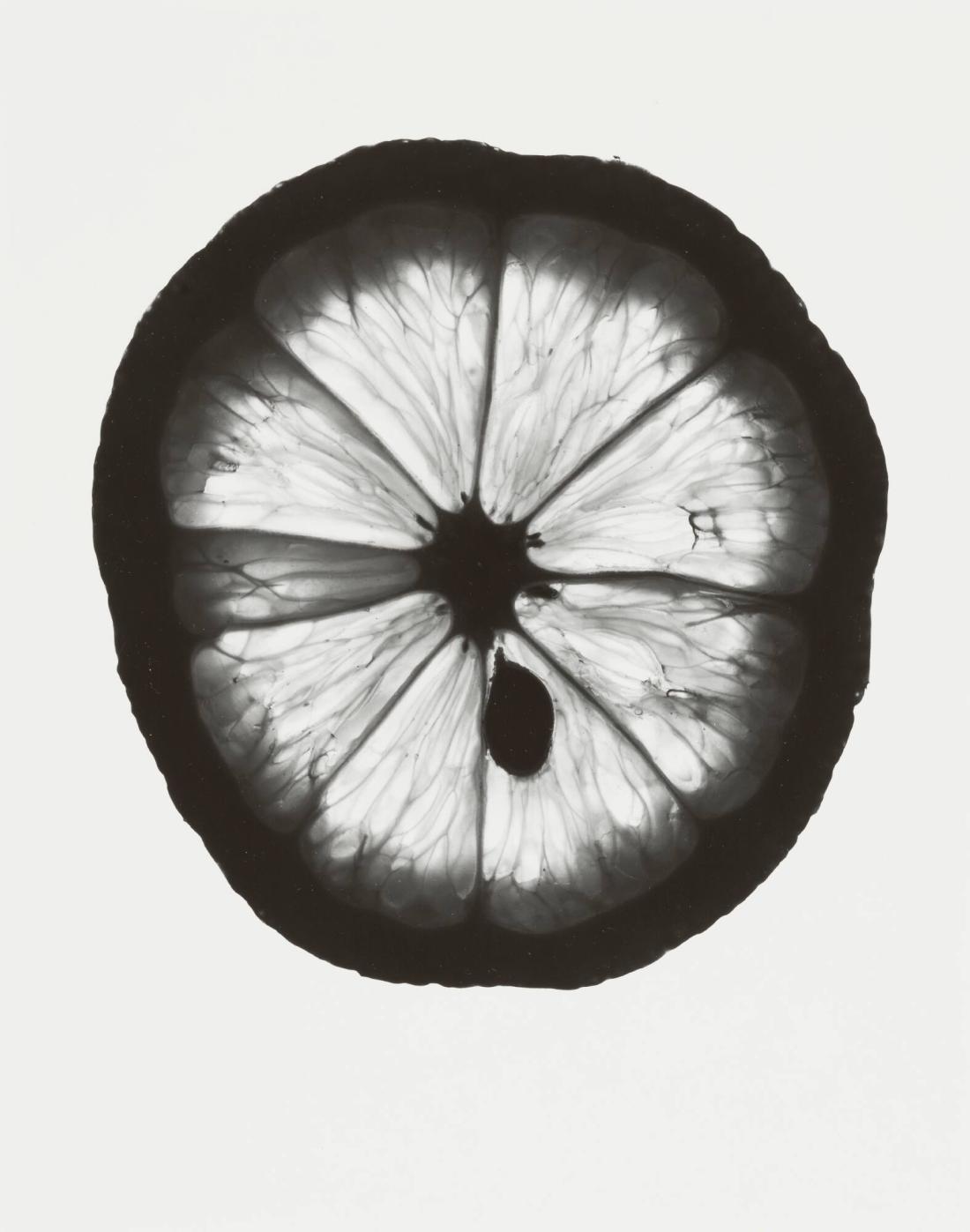 Un Citron, No 7