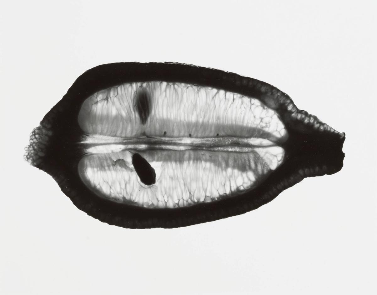 Un Citron, No 6
