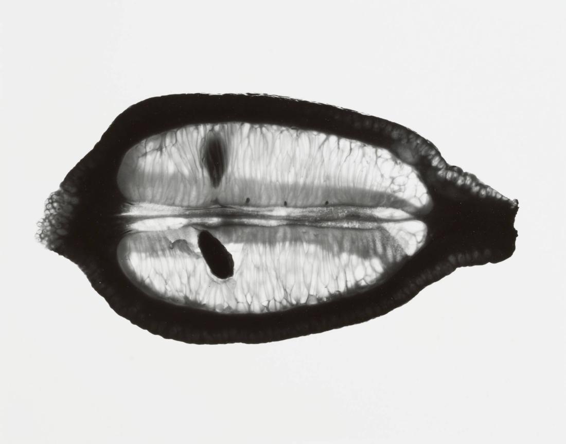 Un Citron, No 6