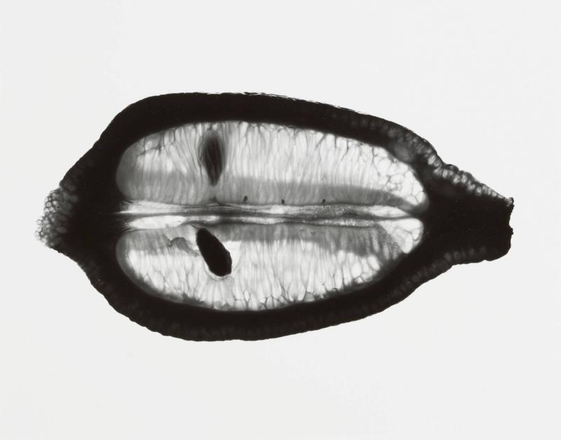 Un Citron, No 6
