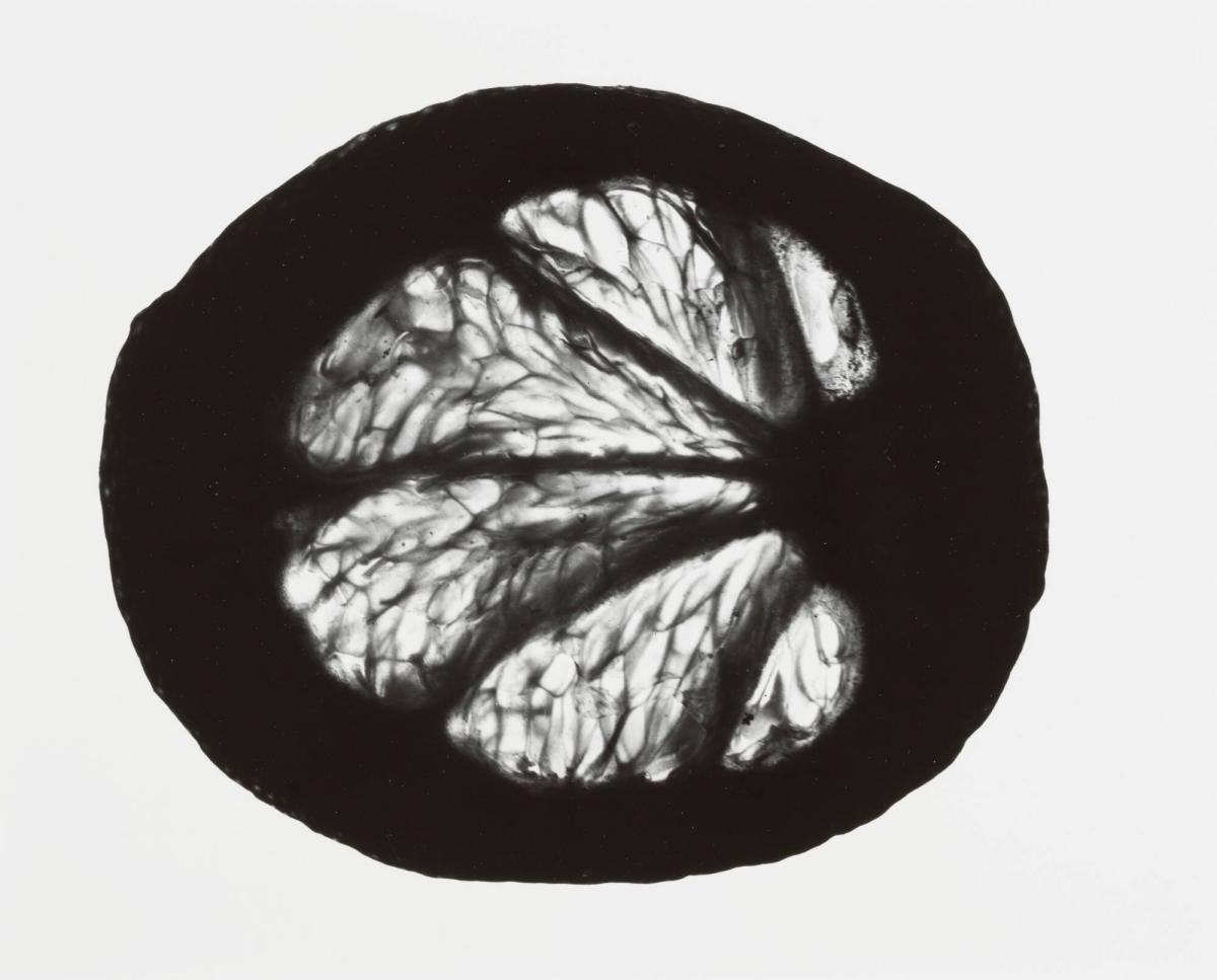 Un Citron, No 9
