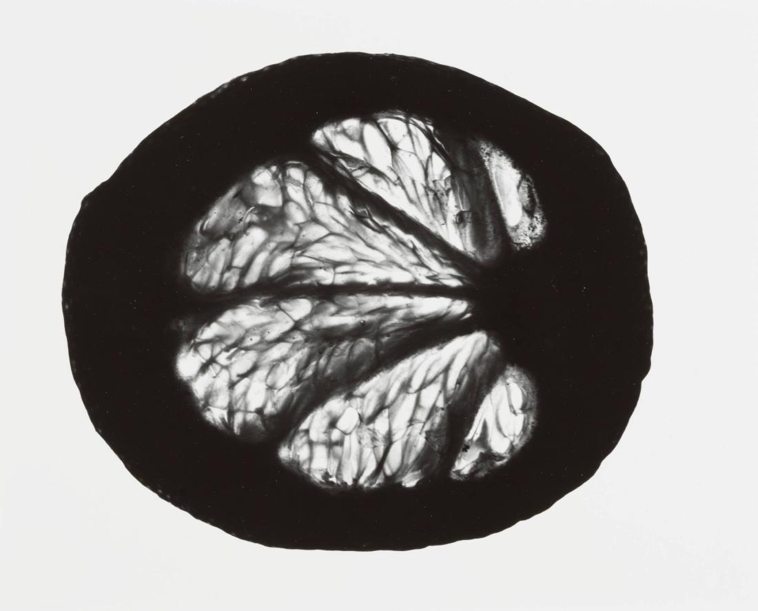 Un Citron, No 9
