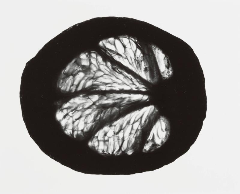 Un Citron, No 9