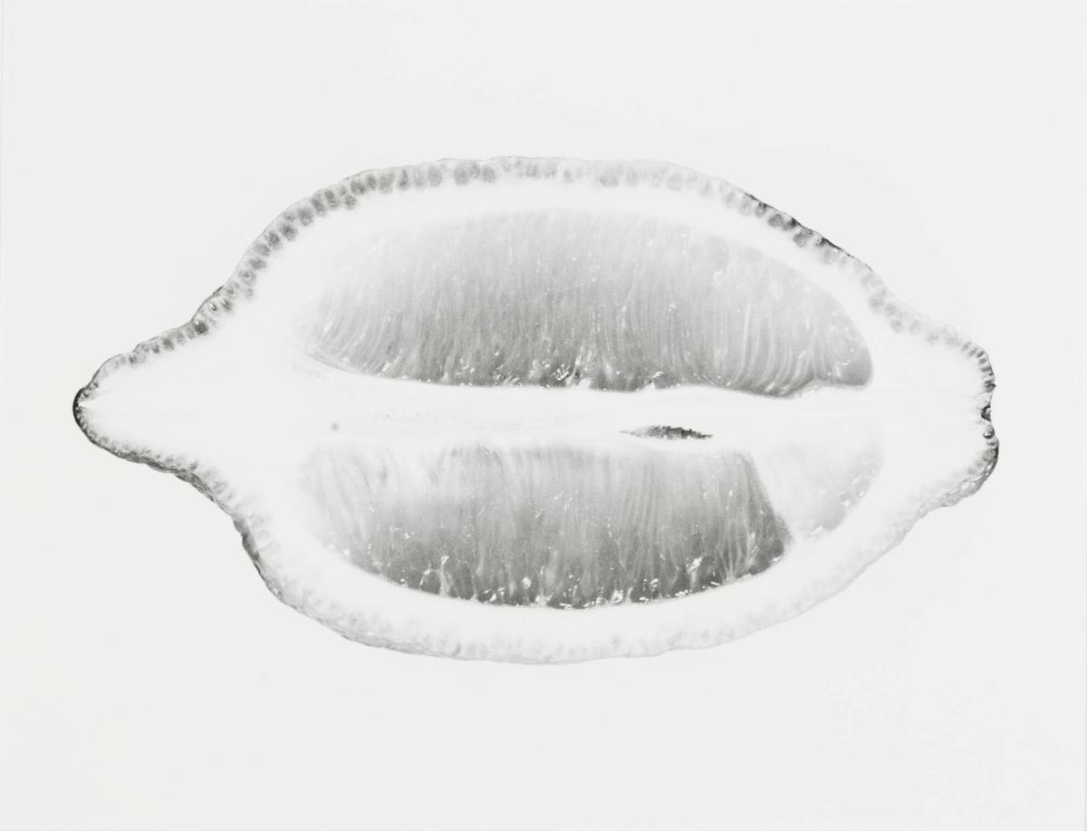 Un Citron, No 4
