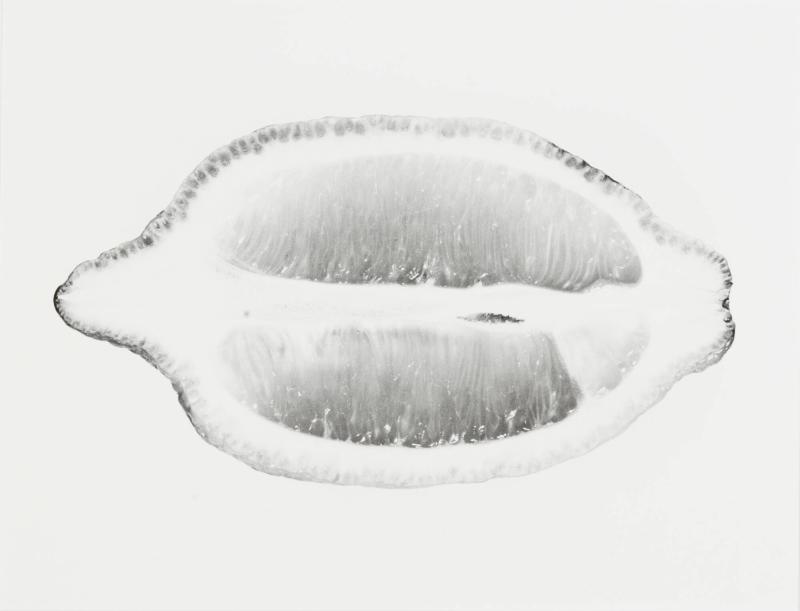 Un Citron, No 4