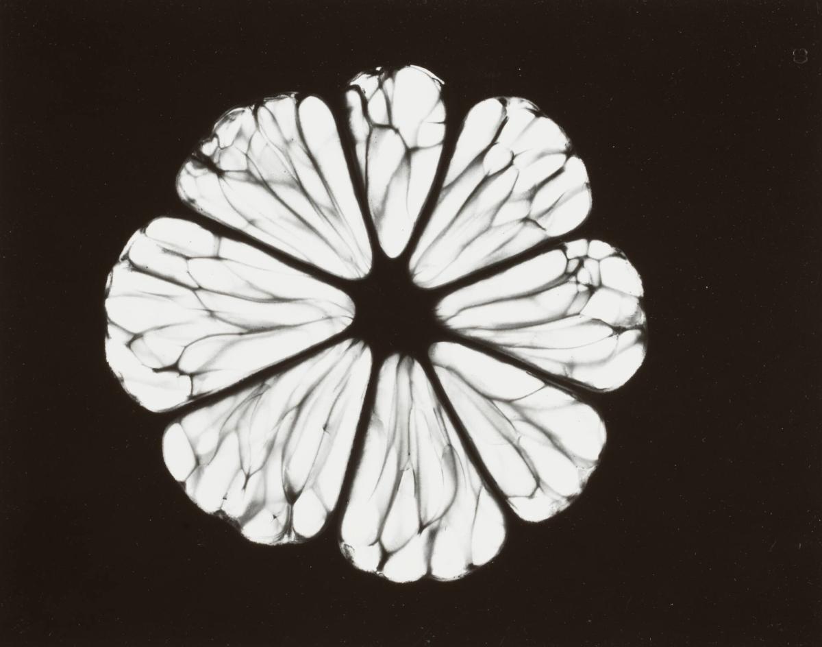 Un Citron, No 15