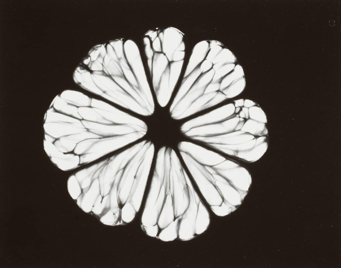 Un Citron, No 15