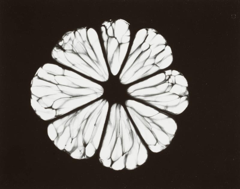 Un Citron, No 15