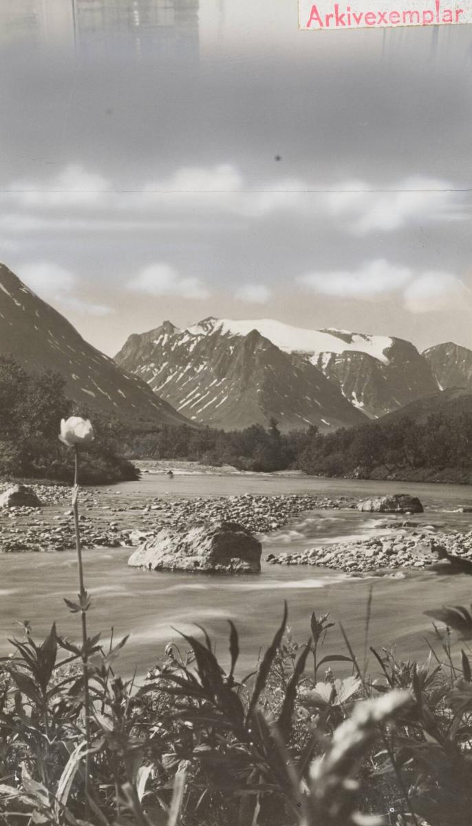 Vistadalen valley in the Kebnekaise mountatin regions, 90 miles north of the Arctic circle