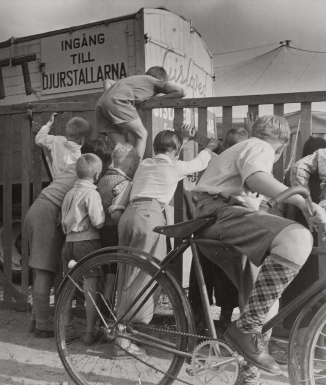 Cirkus