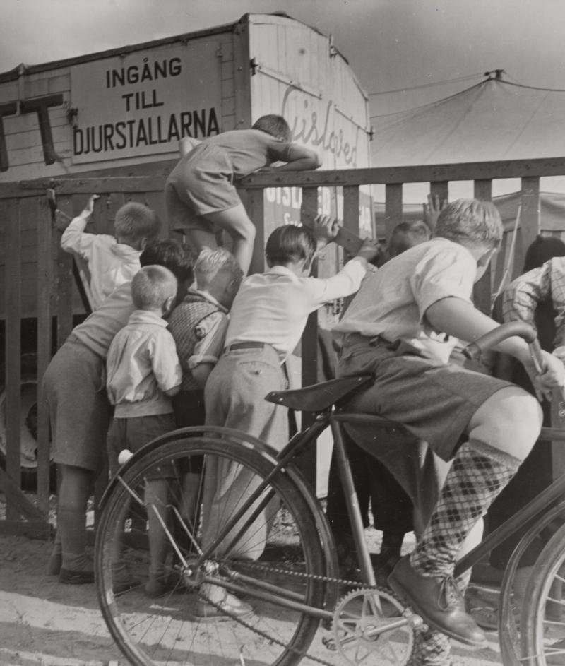 Cirkus