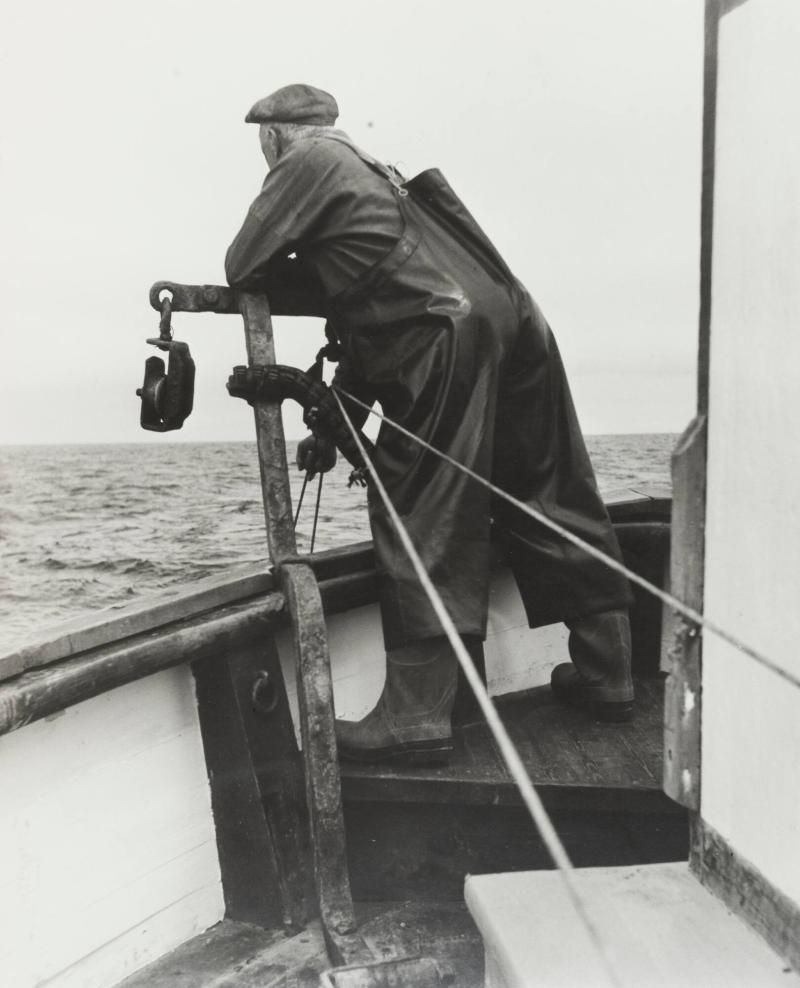 Trålfiske 3