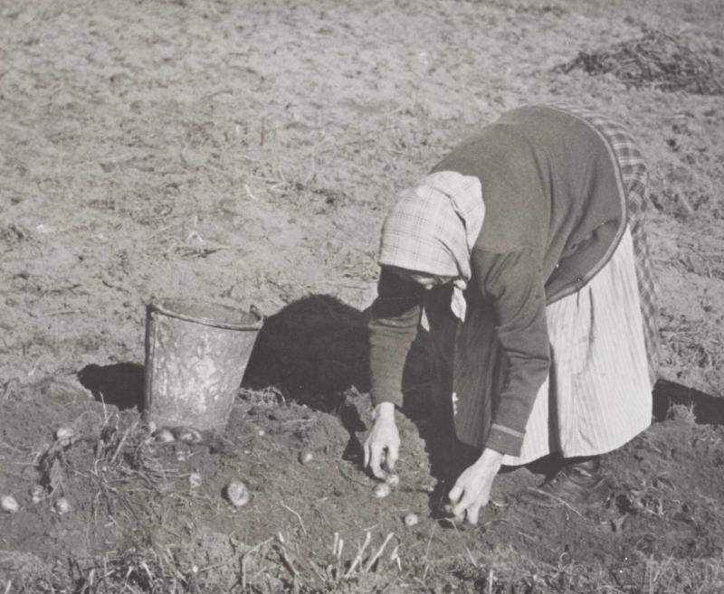 Vana händer