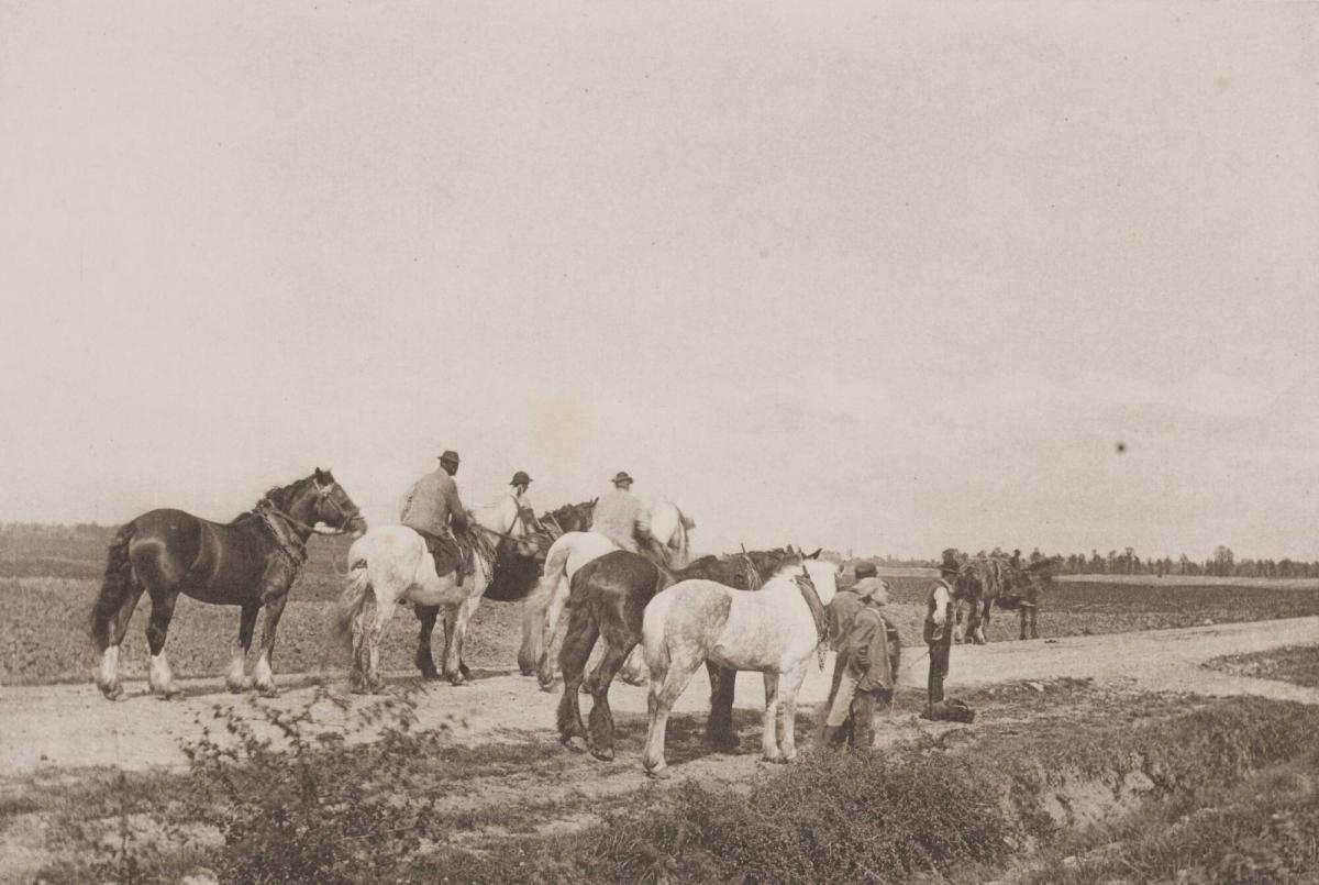 Homewards from Plough. From the book Sun Artists av W Arthur Boord, New York, 1891
