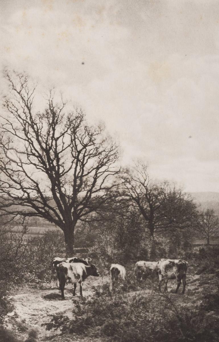A Windy Corner. From the book Sun Artists av W Arthur Boord, New York, 1891