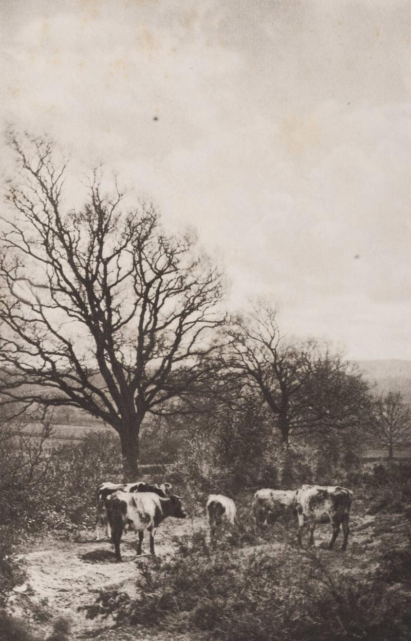 A Windy Corner. From the book Sun Artists av W Arthur Boord, New York, 1891