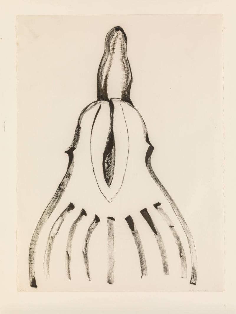 Flower drawing