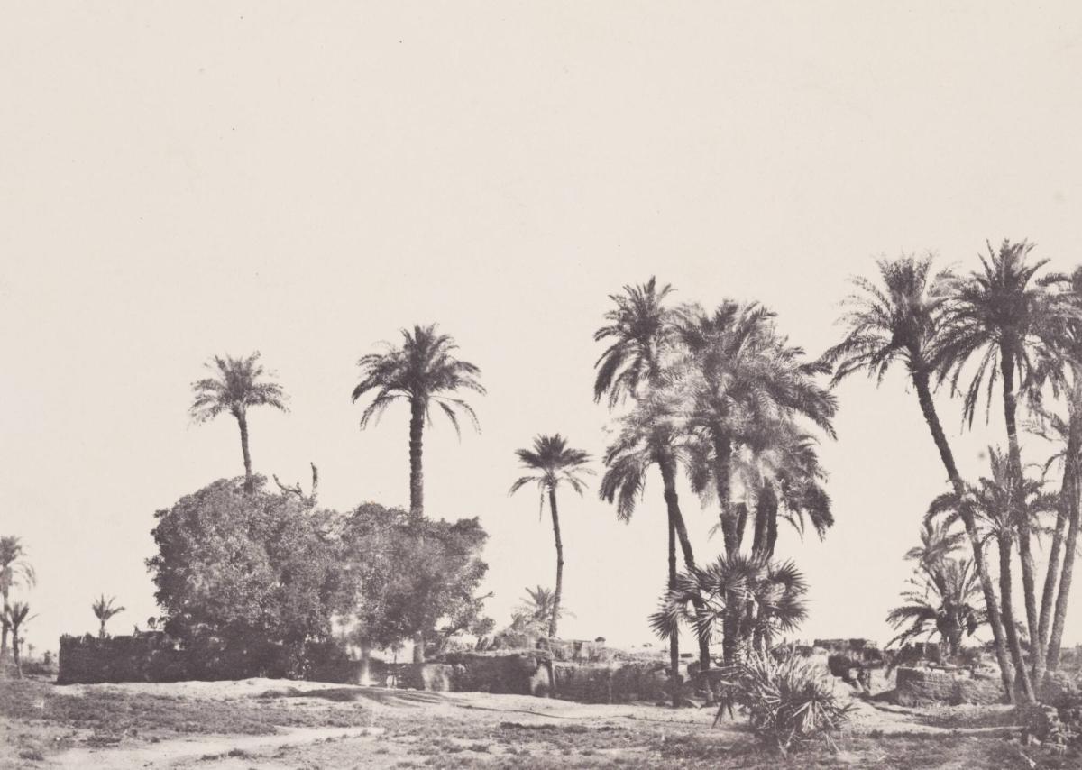 Haute Égypte.  Village de Hamameh (Planche 21). Ur boken Egypt, Nubia, Palestine, and Syria: photographic pictures collected during the years 1849, 1850, and 1851.  Part 13