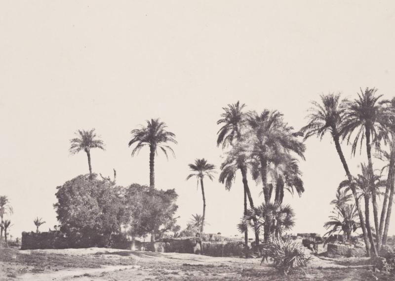 Haute Égypte.  Village de Hamameh (Planche 21). Ur boken Egypt, Nubia, Palestine, and Syria: photographic pictures collected during the years 1849, 1850, and 1851.  Part 13