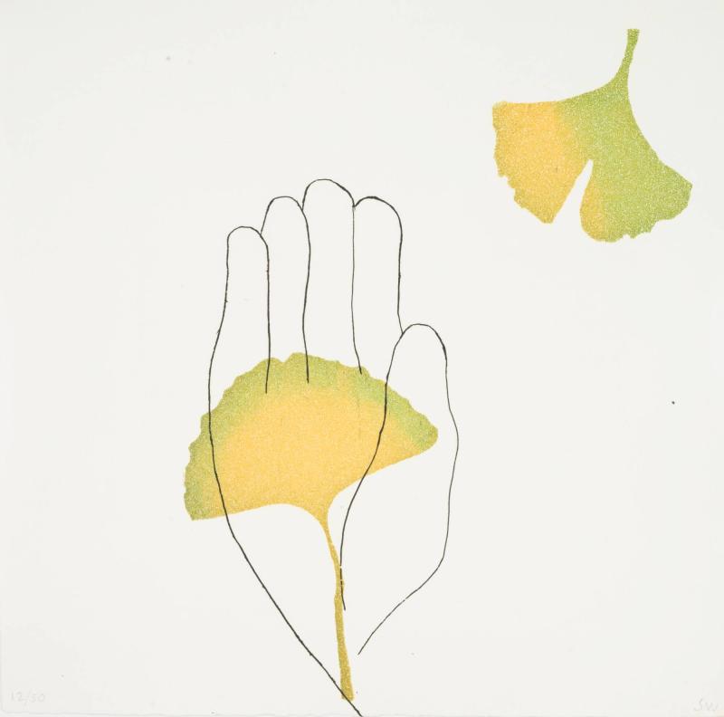Ginkgo. From Handbook
