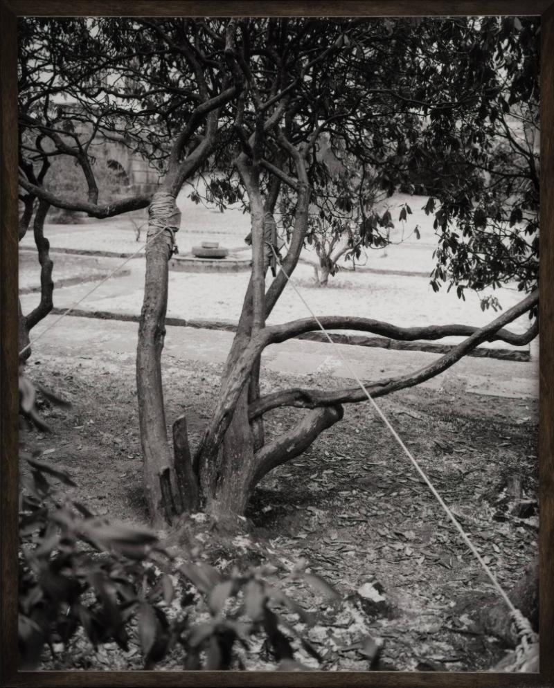 Untitled (Naughty Puppy). From the series 08-18 (Past Perfect)