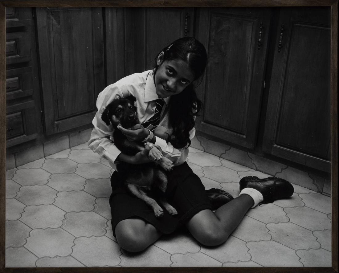 Untitled (Naughty Puppy). From the series 08-18 (Past Perfect)
