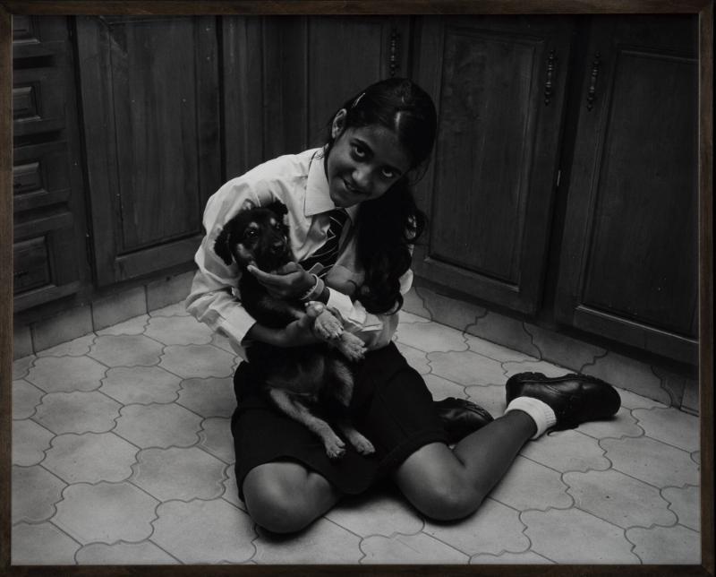 Untitled (Naughty Puppy). From the series 08-18 (Past Perfect)