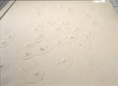 Detaljbild