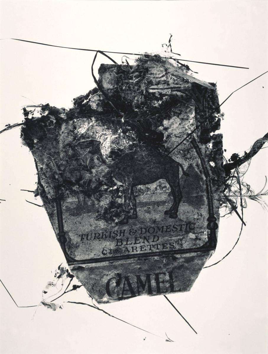 Camel Pack