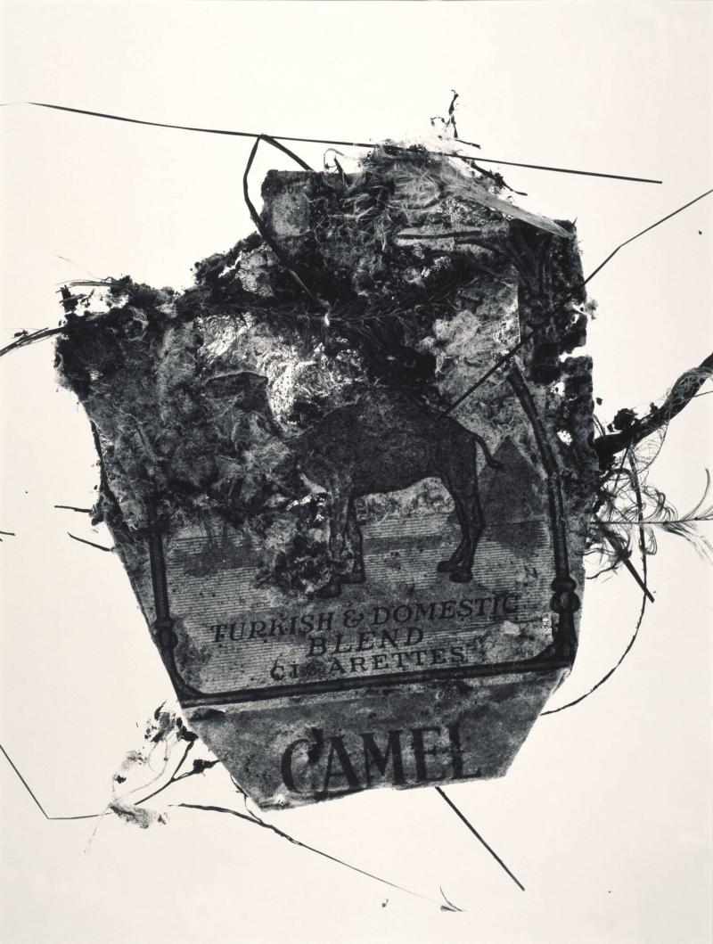 Camel Pack