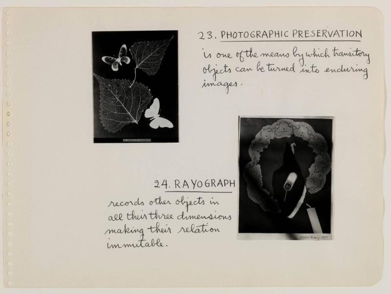 23. PHOTOGRAPHIC PRESERVATION. From the Album Objects of My Affection