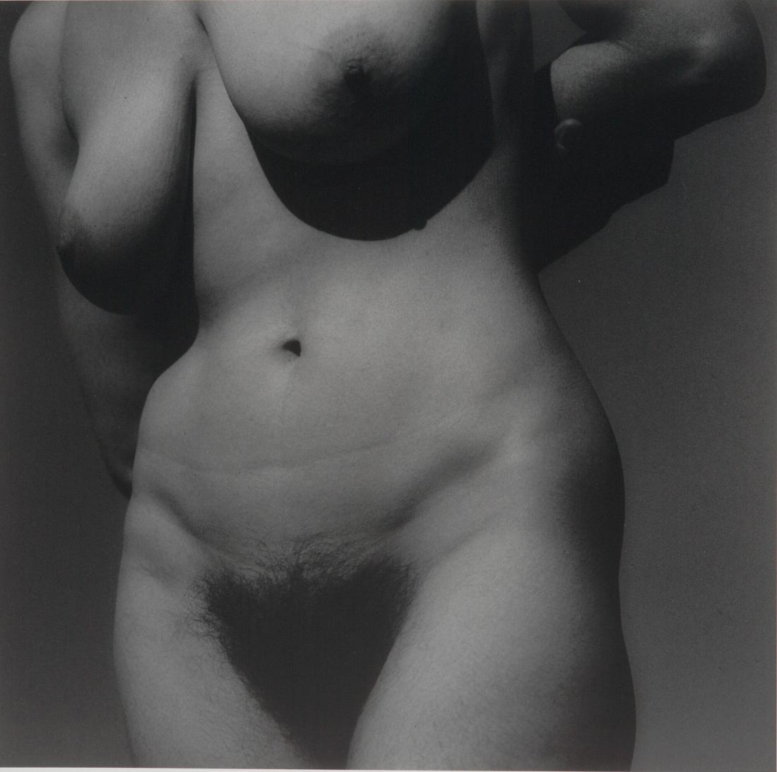 Torso