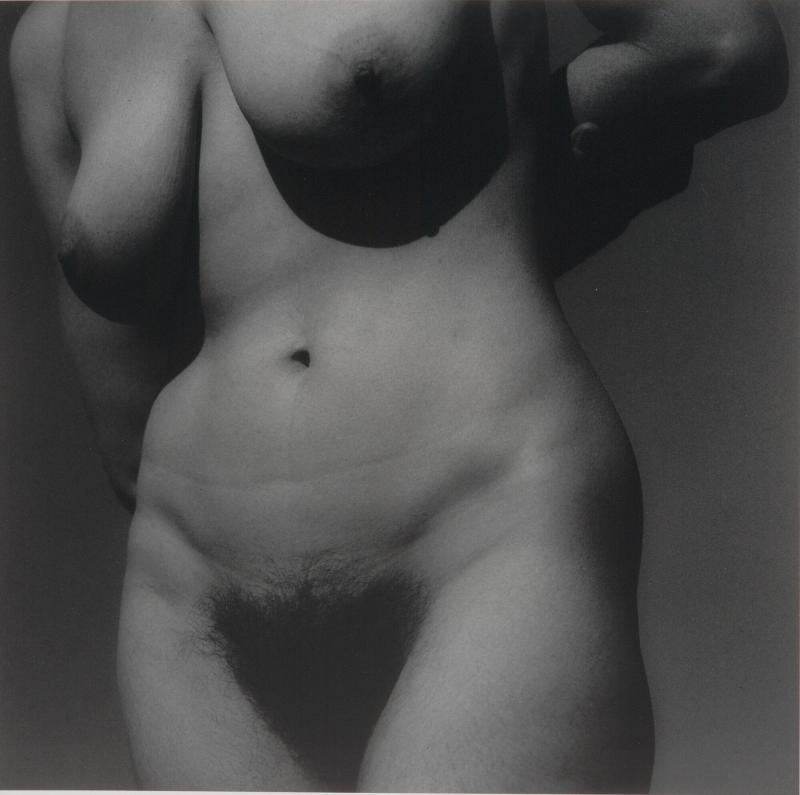 Torso