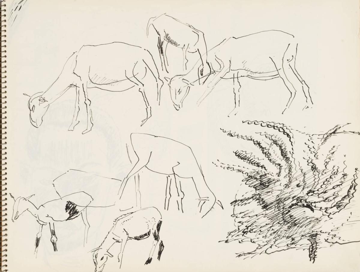 Skissblock nr 92, New York, Martinique, Amboise, fem syskon