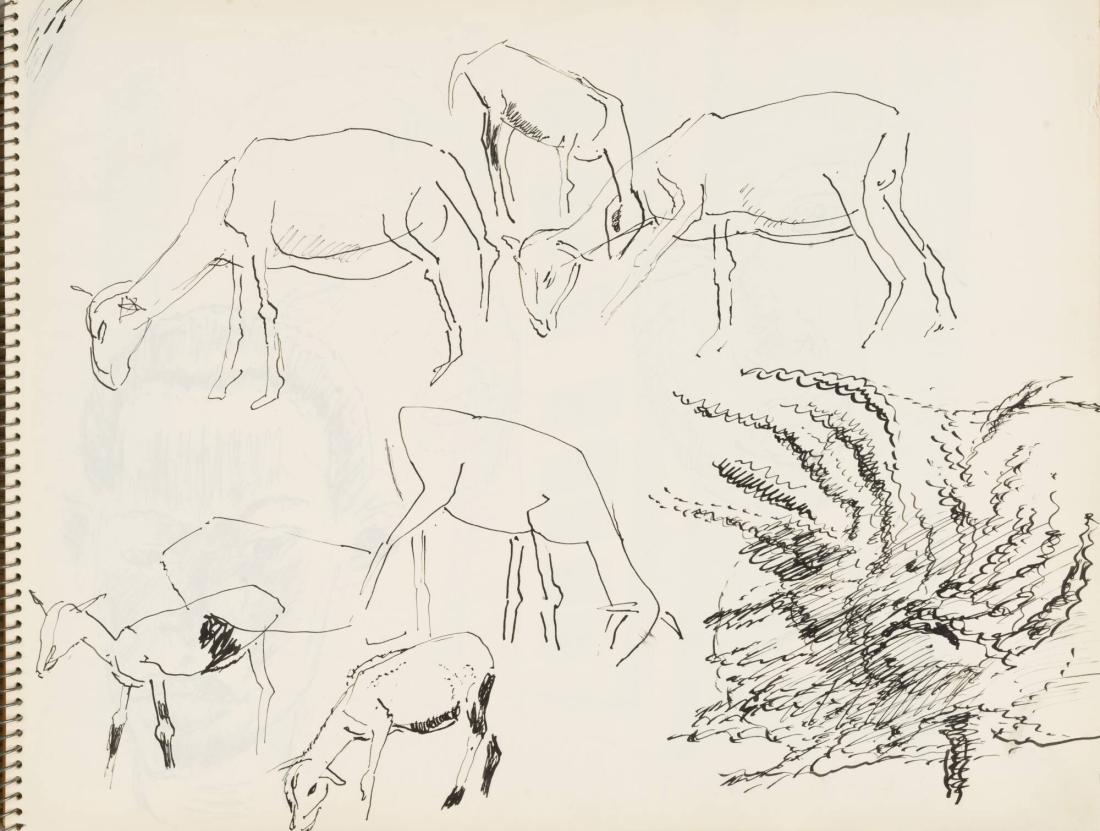 Skissblock nr 92, New York, Martinique, Amboise, fem syskon