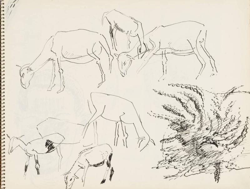 Skissblock nr 92, New York, Martinique, Amboise, fem syskon