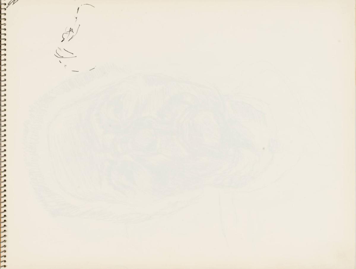 Skissblock nr 92, New York, Martinique, Amboise, fem syskon