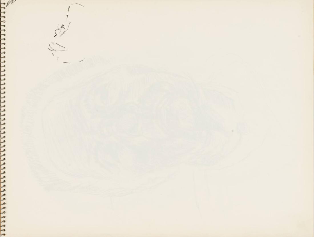 Skissblock nr 92, New York, Martinique, Amboise, fem syskon