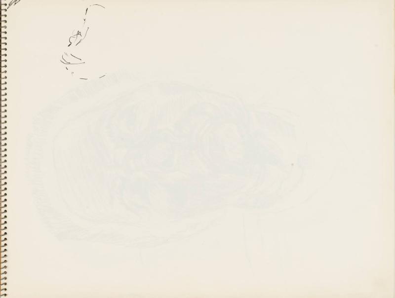 Skissblock nr 92, New York, Martinique, Amboise, fem syskon