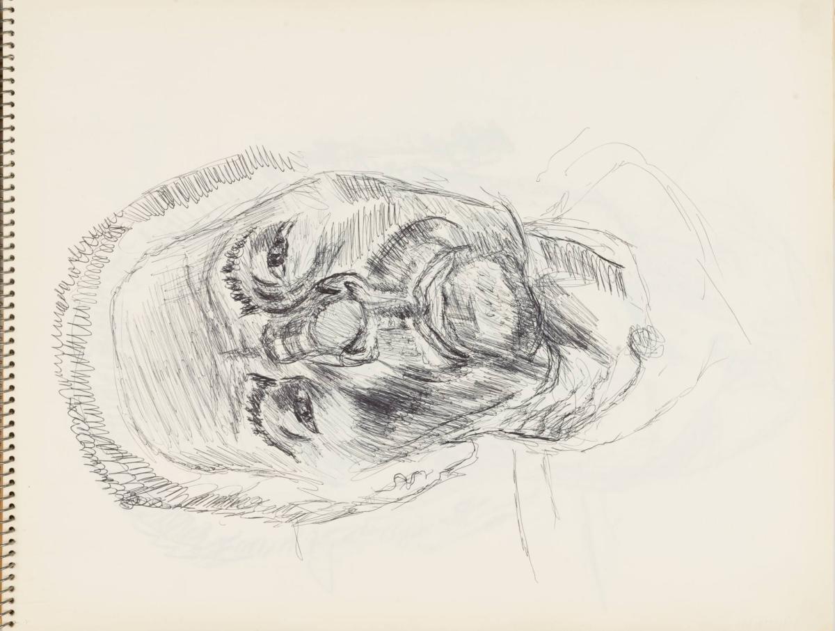 Skissblock nr 92, New York, Martinique, Amboise, fem syskon