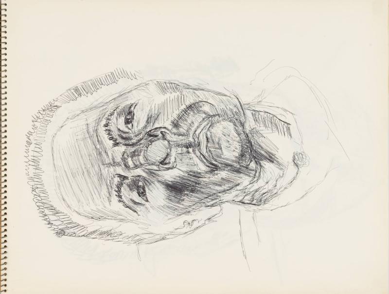 Skissblock nr 92, New York, Martinique, Amboise, fem syskon