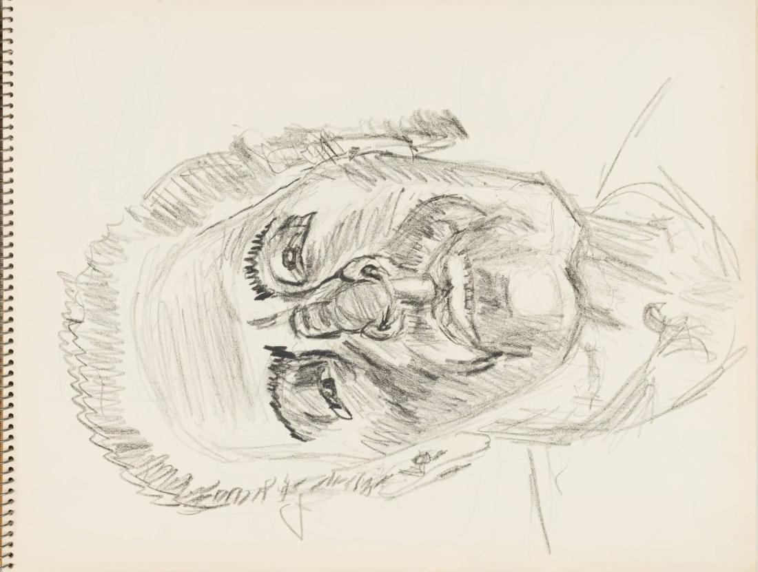 Skissblock nr 92, New York, Martinique, Amboise, fem syskon