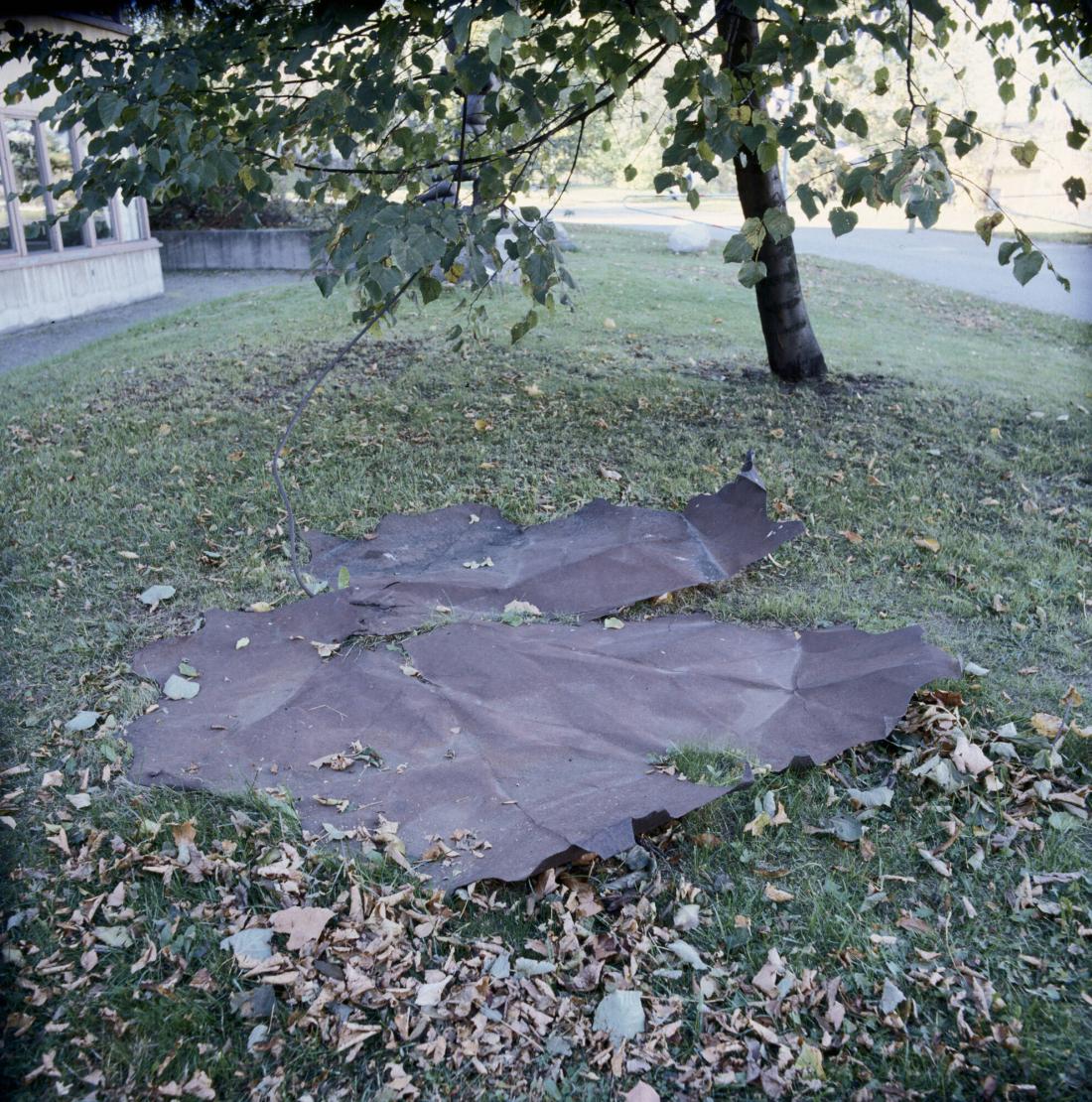 Löv
