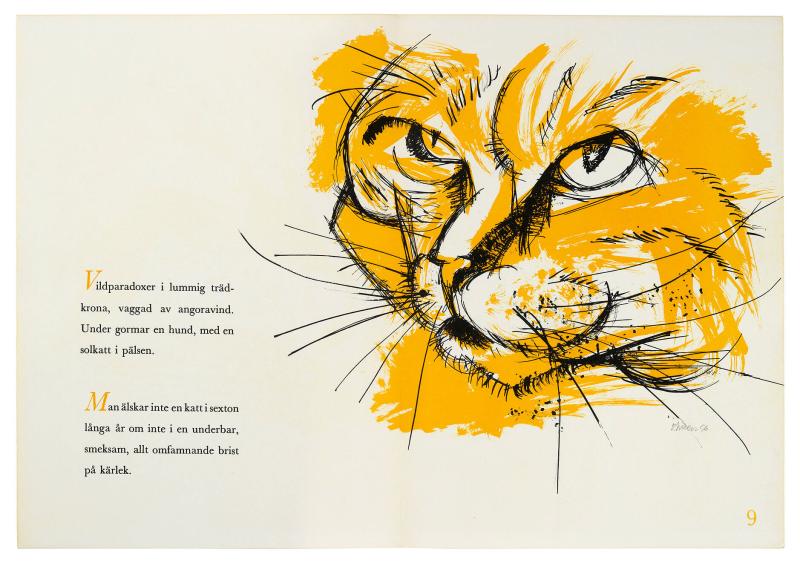 Katt 9 (Vildparadoxer). Ur 'Cattus' av Lars Forssell