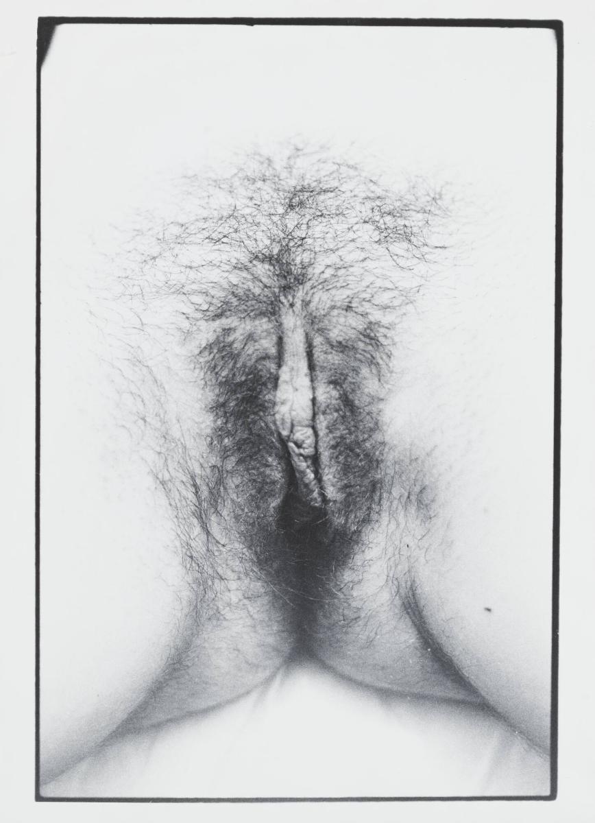 Untitled Documenta portfolio