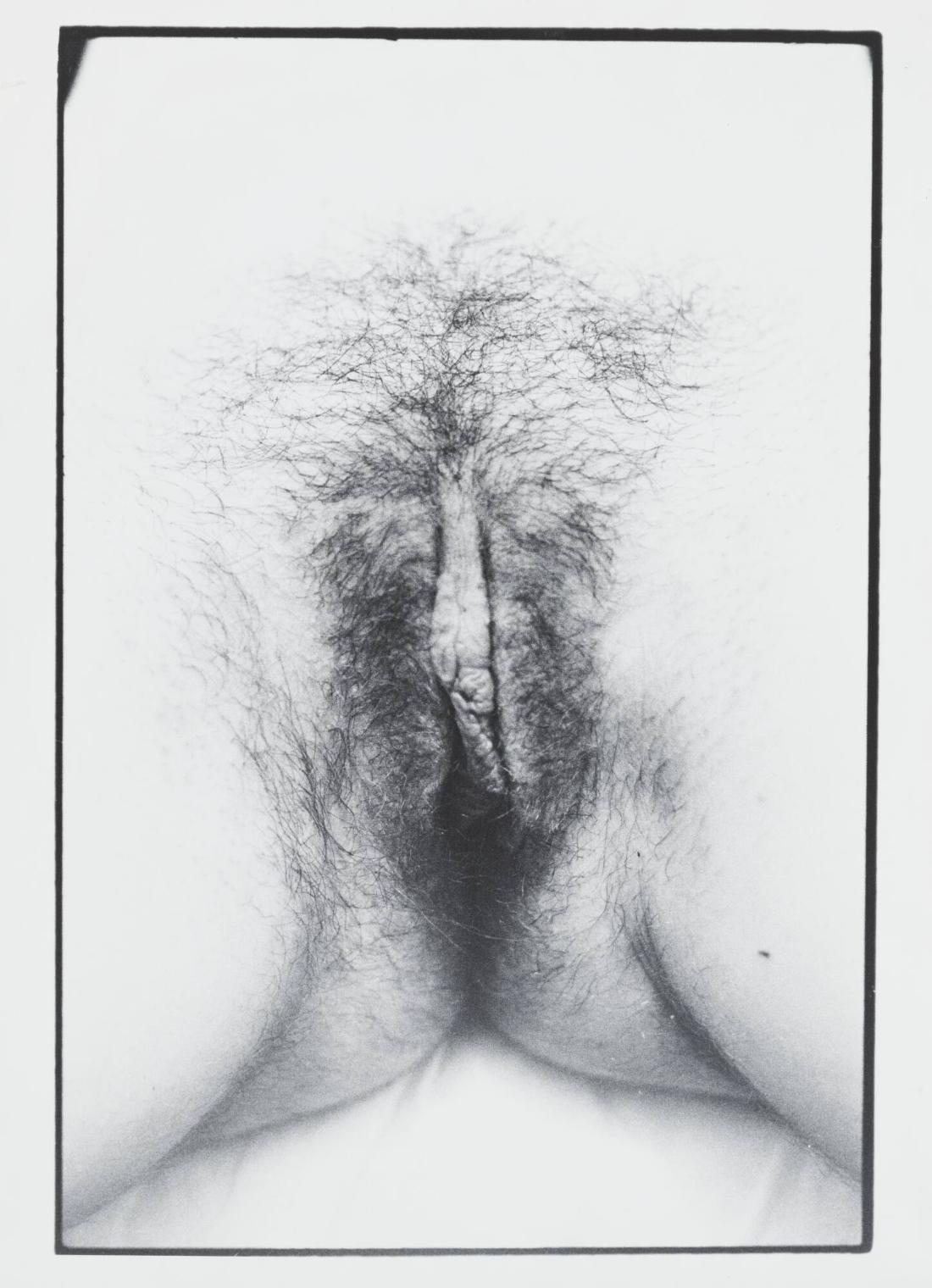 Untitled Documenta portfolio