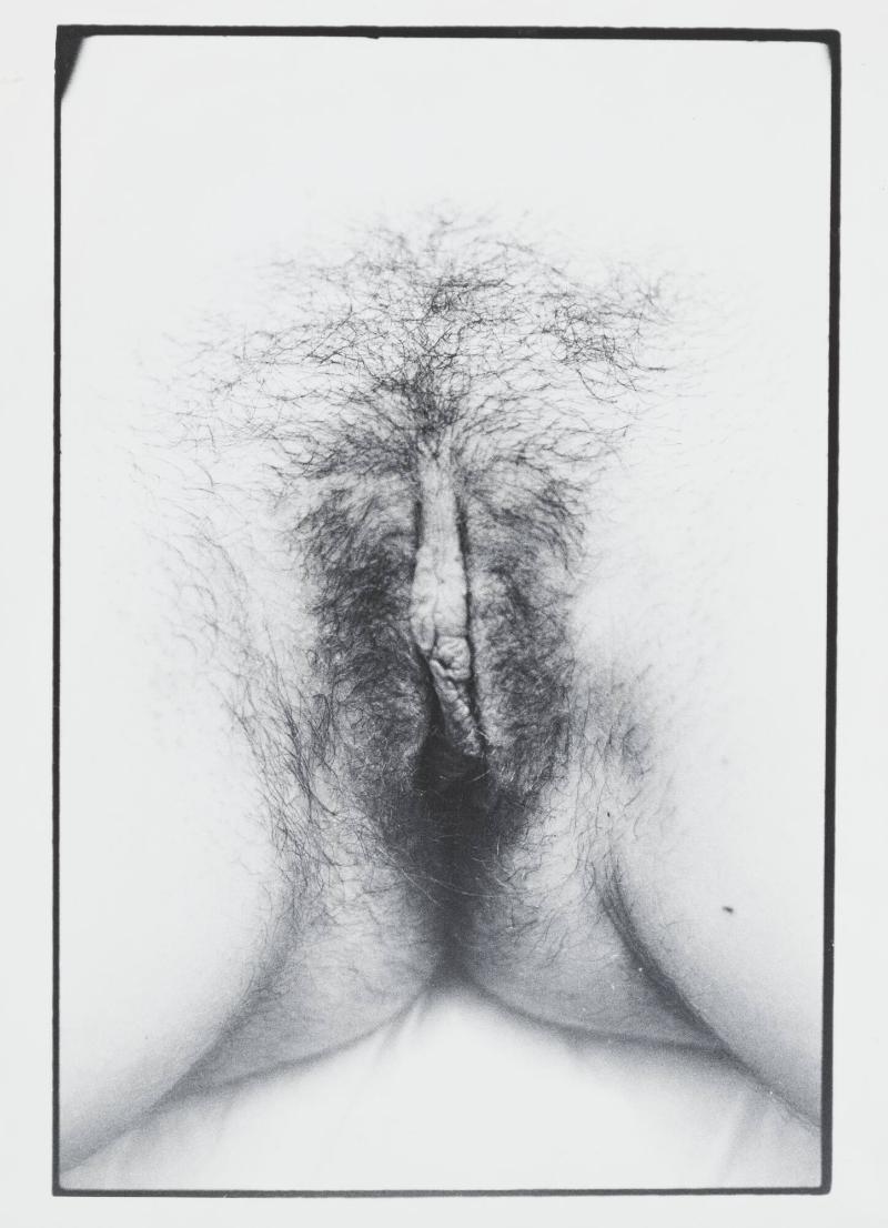 Untitled Documenta portfolio