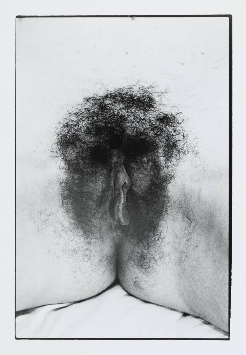 Untitled Documenta portfolio