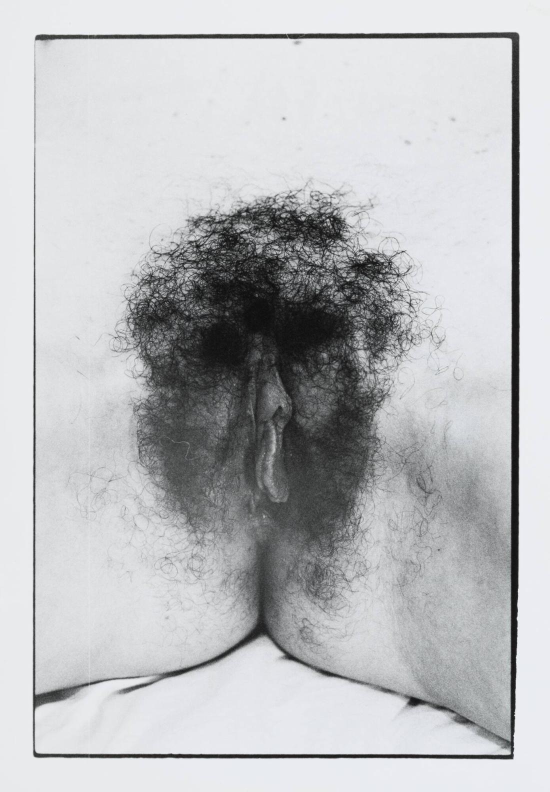 Untitled Documenta portfolio