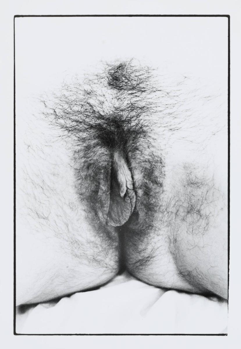 Untitled Documenta portfolio